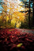 Kjøbmandsgaarden Hotel