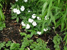 Hotel Elba am Kurfürstendamm - Design Chambers