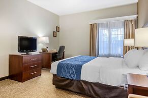 Comfort Inn Downtown - University Area