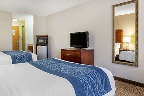 Comfort Inn Downtown - University Area