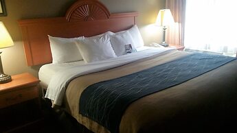 Comfort Inn Downtown - University Area