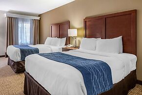 Comfort Inn Downtown - University Area