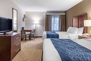 Comfort Inn Downtown - University Area