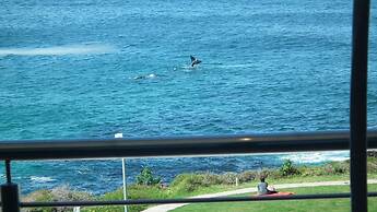 Misty Waves Boutique Hotel