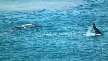 Misty Waves Boutique Hotel