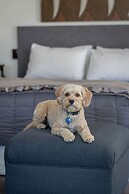 The Terrace Villas - Executive Apts