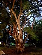 Parador Guánica 1929