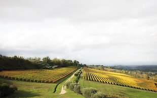 Poderi Arcangelo
