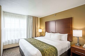 Comfort Inn & Suites Independence