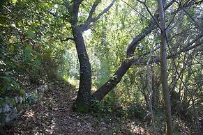 Montepaolo Dimora di Charme