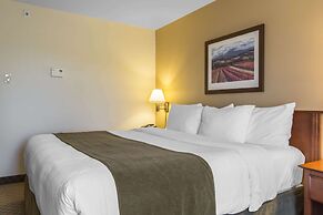 Quality Inn Airport