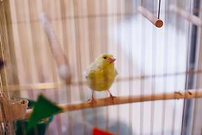 Italian Rooms and Apartments Pio on Mokhovaya