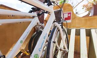 Cruccuris Resort Adults Only