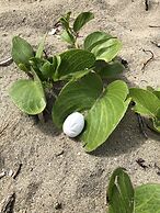 Blue Horizon Boutique Resort - Adults Only