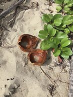 Blue Horizon Boutique Resort - Adults Only