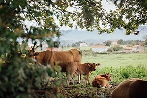 CoolRooms Palacio de Luces
