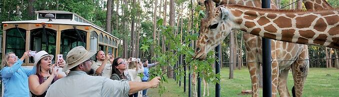 Microtel Inn & Suites by Wyndham Kingsland Naval Base I-95