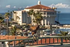 The Avalon Hotel on Catalina Island