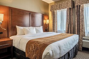 Comfort Suites Near Texas State University