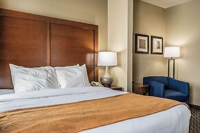 Comfort Suites Near Texas State University