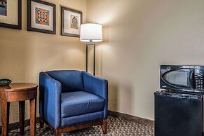Comfort Suites Near Texas State University