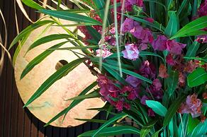 Radisson Blu Palace Resort & Thalasso, Djerba