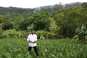 SALT of Palmar, an adult-only boutique Hotel