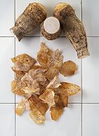 SALT of Palmar, an adult-only boutique Hotel