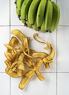 SALT of Palmar, an adult-only boutique Hotel