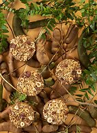 SALT of Palmar, an adult-only boutique Hotel