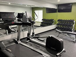 Spark by Hilton Killeen