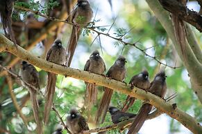 Sarova Lion Hill Game Lodge