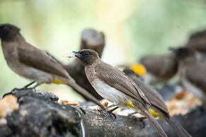 Sarova Lion Hill Game Lodge