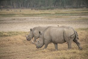 Sarova Lion Hill Game Lodge