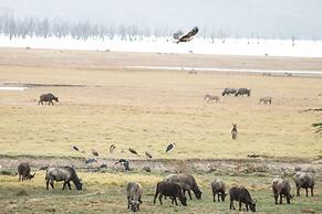 Sarova Lion Hill Game Lodge