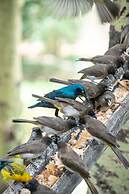 Sarova Lion Hill Game Lodge