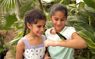 Holiday Inn Niagara Falls - By The Falls by IHG