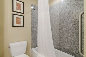 Comfort Suites Bentonville - Rogers