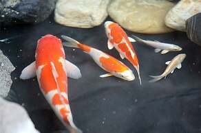 Wyndham Garden Donaueschingen