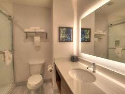 Holiday Inn & Suites Pigeon Forge Convention Center by IHG