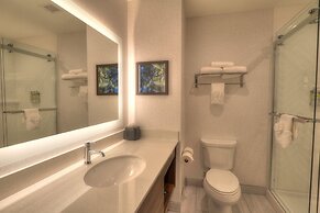 Holiday Inn & Suites Pigeon Forge Convention Center by IHG