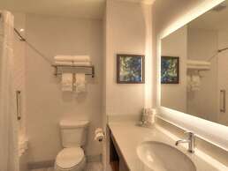 Holiday Inn & Suites Pigeon Forge Convention Center by IHG