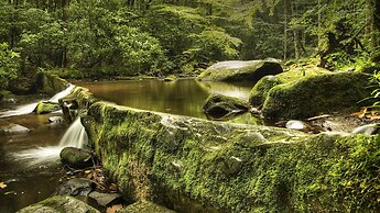 Holiday Inn & Suites Pigeon Forge Convention Center by IHG