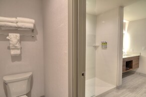 Holiday Inn & Suites Pigeon Forge Convention Center by IHG