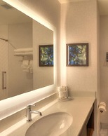 Holiday Inn & Suites Pigeon Forge Convention Center by IHG