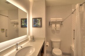 Holiday Inn & Suites Pigeon Forge Convention Center by IHG