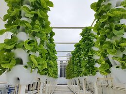 Shenzhen Shanghai Hotel