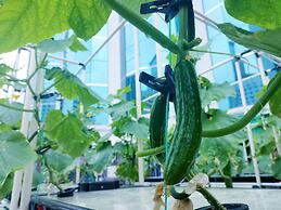 Shenzhen Shanghai Hotel