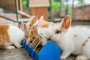 Mission Hills Resort Shenzhen