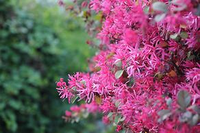 Jinling Resort Nanjing